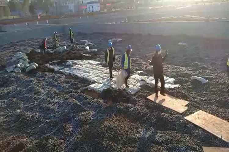 江西陶粒廠家